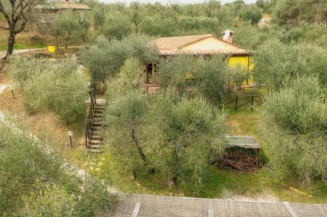 La Casina, Private Villa With A/C In Val Di Chiana Scrofiano Holiday home