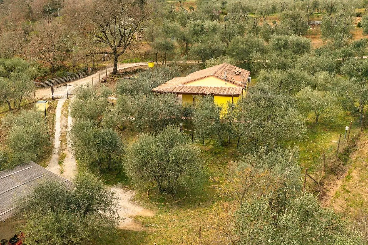 La Casina, Private Villa With A/C In Val Di Chiana Scrofiano 0*,  Italië
