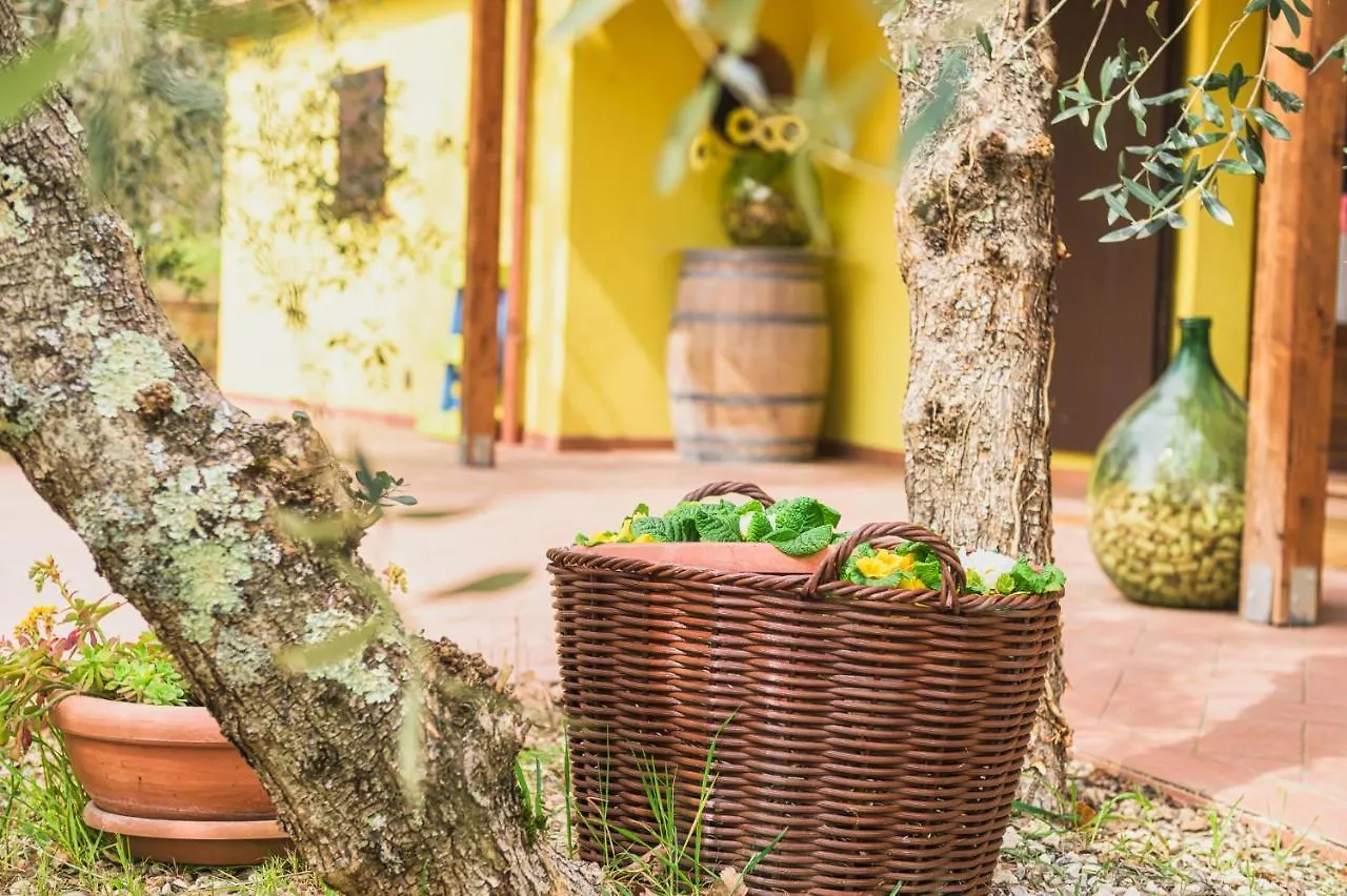 La Casina, Private Villa With A/C In Val Di Chiana Scrofiano