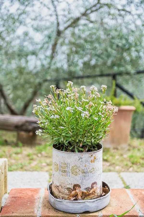 La Casina, Private Villa With A/C In Val Di Chiana Scrofiano 0*,
